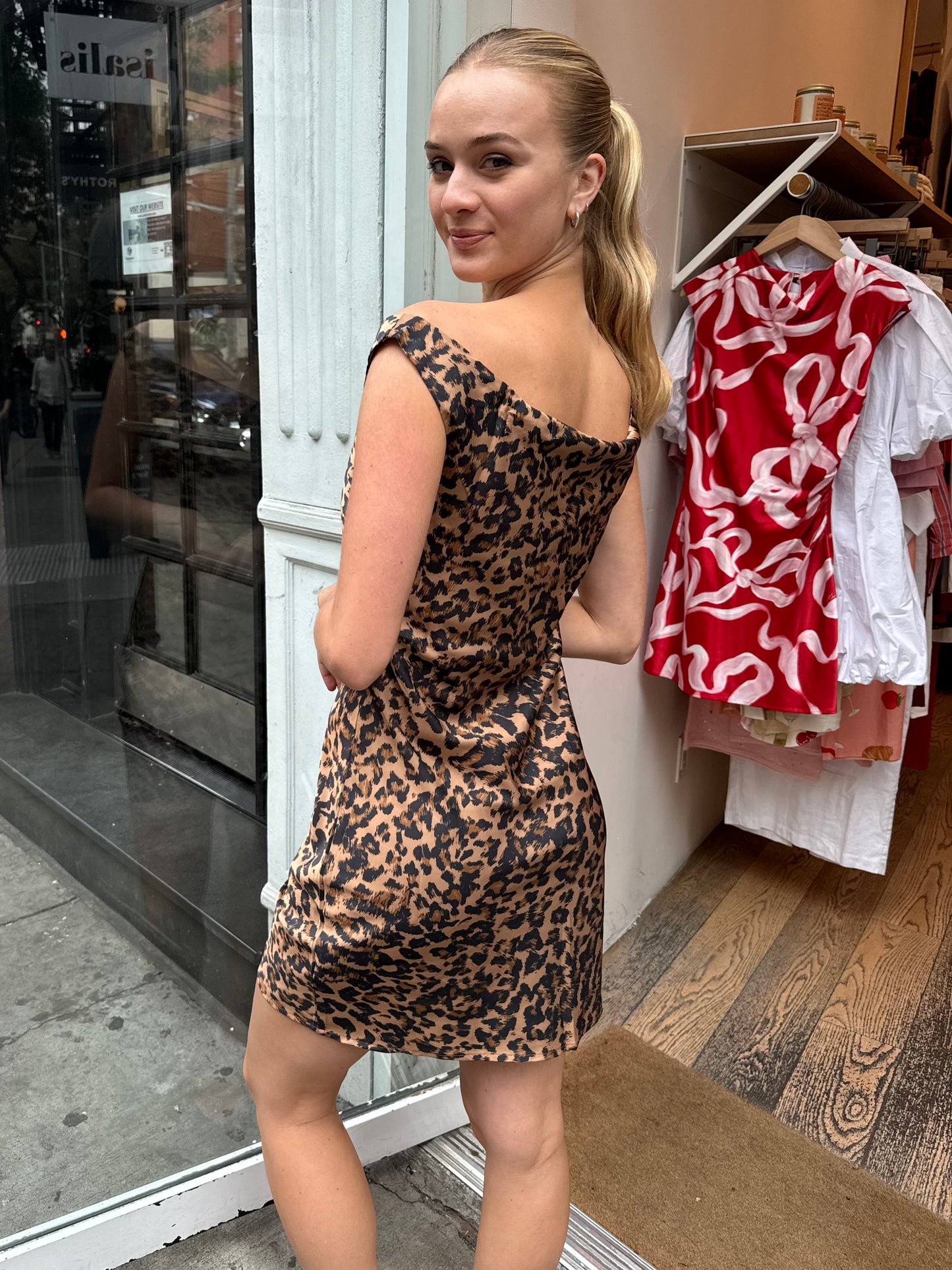 Aralise Dress in Leopard