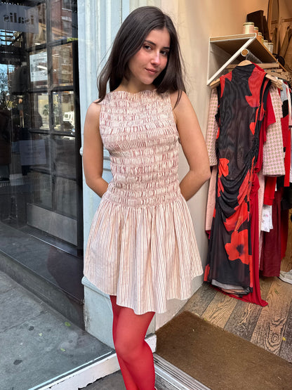 Noa Mini Dress in Pinstripe Garnet Blush