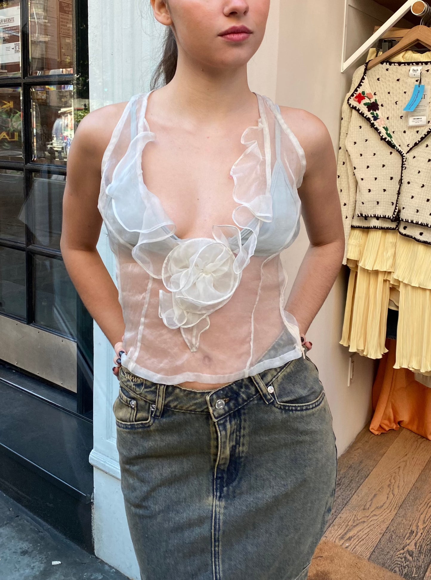 Organza Top in Mist